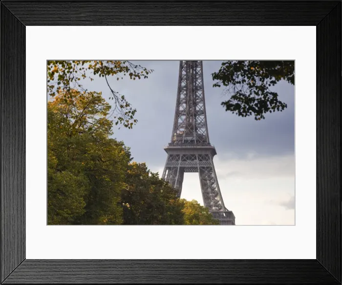Framed Print : The Eiffel Tower from Champ de Mars, Paris, France, Europe Framed Print : The Eiffel Tower from Champ de Mars, Paris, France, Europe