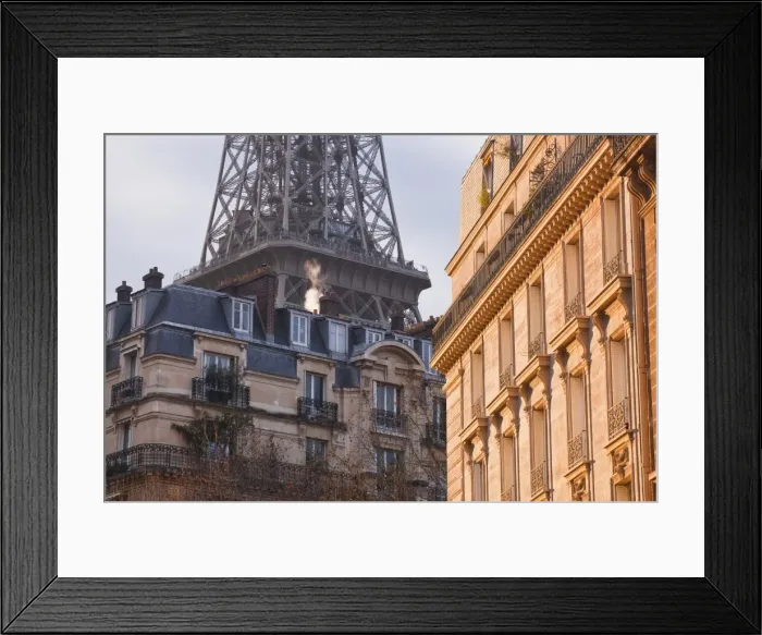 Framed Print : The Eiffel Tower and typical Parisian apartments, Paris, France, Europe Framed Print : The Eiffel Tower and typical Parisian apartments, Paris, France, Europe