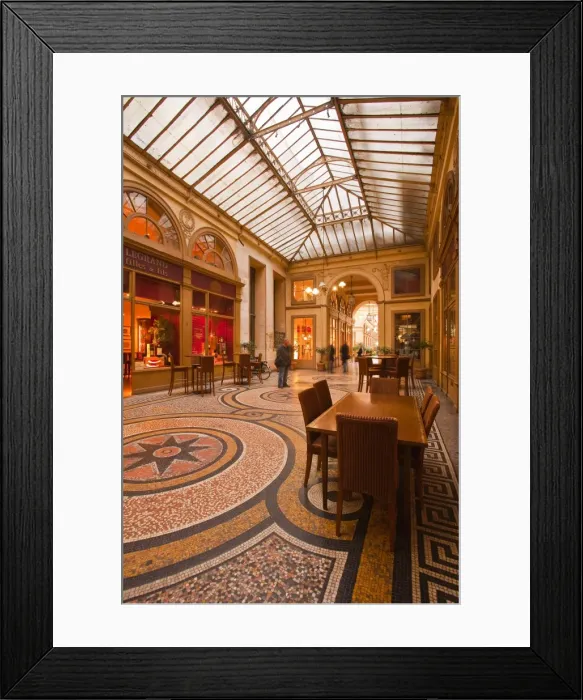 Framed Print : Galerie Vivienne in Paris, France, Europe Framed Print : Galerie Vivienne in Paris, France, Europe