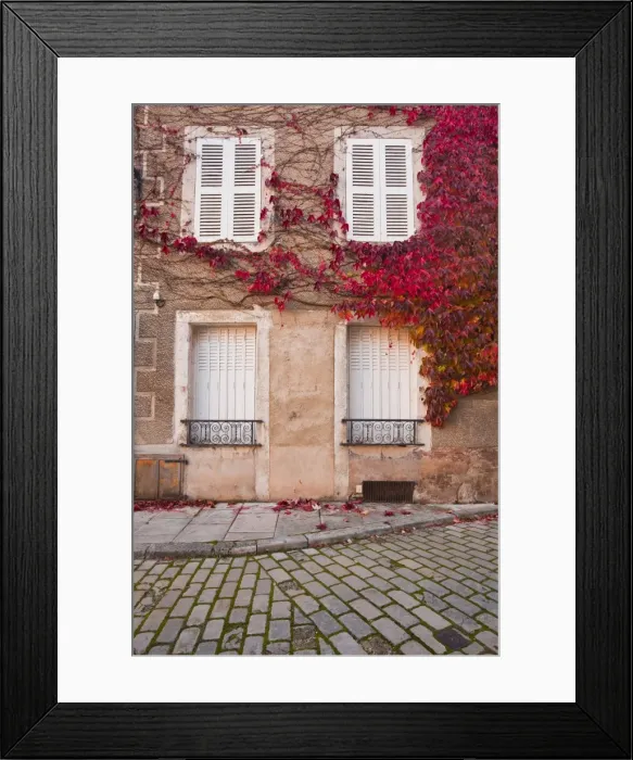 Framed Print : Autumn leaves in Noyers-sur-Serein, one the Beaux Villages de France, Yonne, Burgundy, France, Europe Framed Print : Autumn leaves in Noyers-sur-Serein, one the Beaux Villages de France, Yonne, Burgundy, France, Europe