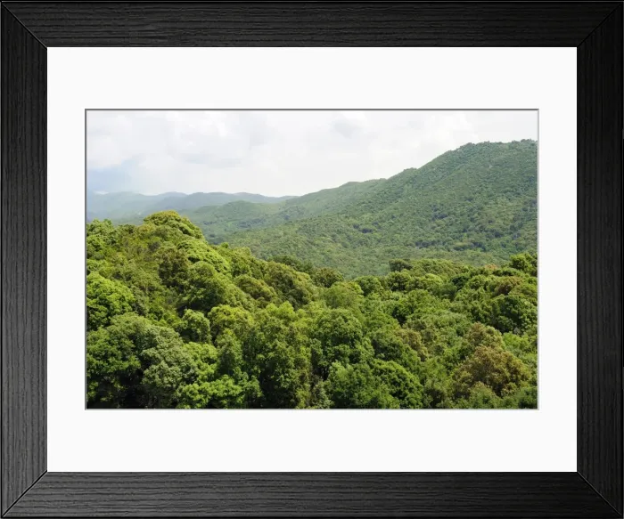 Framed Print : Deciduous Mediterranean forest clothing hilly landscape within the National Park (Parc Naturel Regional de Corse), Corsica, France, Europe Framed Print : Deciduous Mediterranean forest clothing hilly landscape within the National Park (Parc Naturel Regional de Corse), Corsica, France, Europe