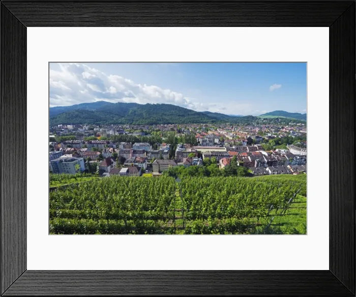 Framed Print : Vineyards, Freiburg, Baden-Wurttemberg, Germany, Europe