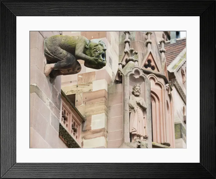 Framed Print : Gargoyles on Freiburg Cathedral, Freiburg, Baden-Wurttemberg, Germany, Europe, Europe