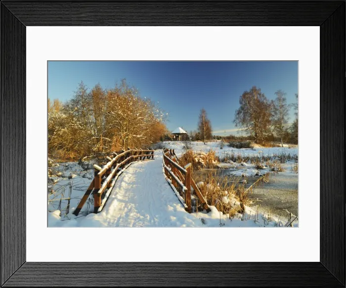 Framed Print : Winter scene, Schwenninger Moos nature reserve, Villingen-Schwenningen, Baden-Wurttemberg, Germany, Europe Framed Print : Winter scene, Schwenninger Moos nature reserve, Villingen-Schwenningen, Baden-Wurttemberg, Germany, Europe
