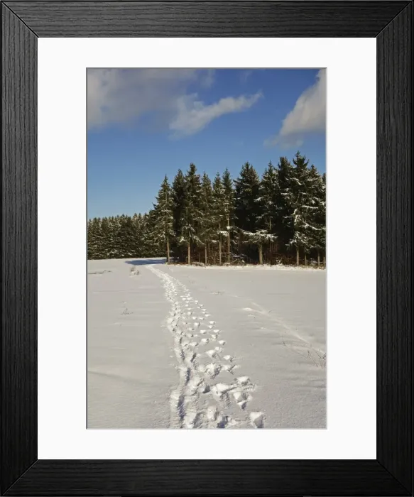 Framed Print : Black Forest in winter, near Villingen-Schwenningen, Baden-Wurttemberg, Germany, Europe Framed Print : Black Forest in winter, near Villingen-Schwenningen, Baden-Wurttemberg, Germany, Europe