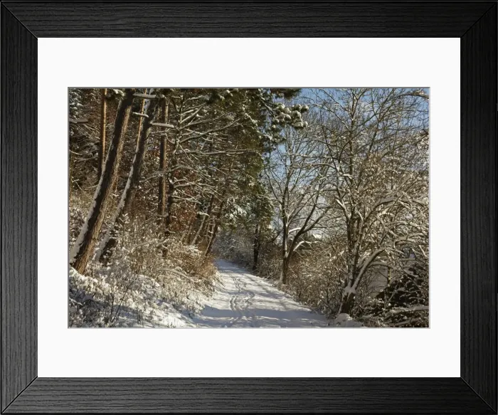 Framed Print : Black Forest in winter, near Villingen-Schwenningen, Baden-Wurttemberg, Germany, Europe