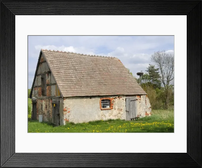 Framed Print : Small traditional barn, with nesting white stork (Ciconia ciconia) nearby, Schorfheide-Chorin Biosphere reserve, Brandenburg, Germany, Europe Framed Print : Small traditional barn, with nesting white stork (Ciconia ciconia) nearby, Schorfheide-Chorin Biosphere reserve, Brandenburg, Germany, Europe