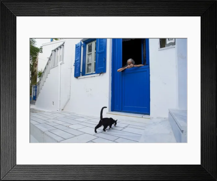 Framed Print : Cat, Pyrgos village, Tinos, Cyclades, Greek Islands, Greece, Europe Framed Print : Cat, Pyrgos village, Tinos, Cyclades, Greek Islands, Greece, Europe