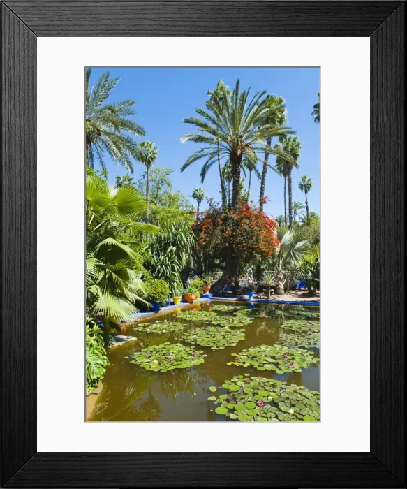 Framed Print : Pond and palm tree, Majorelle Gardens (Gardens of Yves Saint-Laurent), Marrakech, Morocco, North Africa, Africa Framed Print : Pond and palm tree, Majorelle Gardens (Gardens of Yves Saint-Laurent), Marrakech, Morocco, North Africa, Africa
