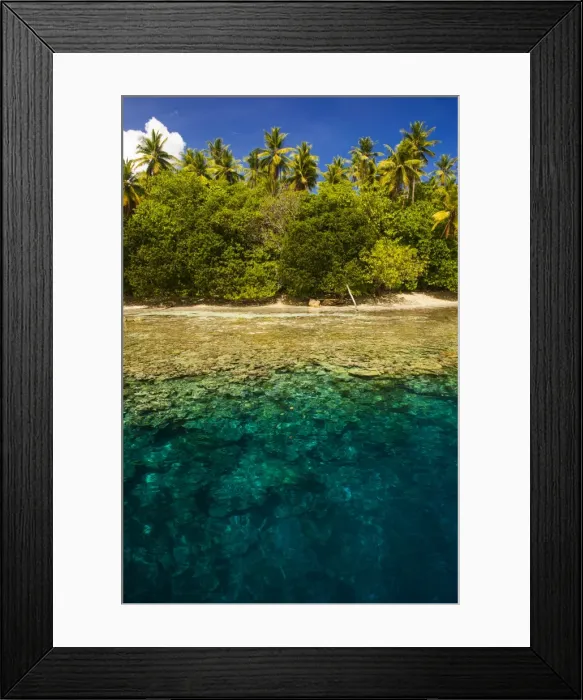 Framed Print : Crystal clear water and an islet in the Ant Atoll, Pohnpei, Micronesia, Pacific Framed Print : Crystal clear water and an islet in the Ant Atoll, Pohnpei, Micronesia, Pacific