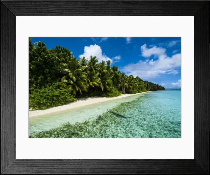 Framed Print : Paradise white sand beach in turquoise water on Ant Atoll, Pohnpei, Micronesia, Pacific Framed Print : Paradise white sand beach in turquoise water on Ant Atoll, Pohnpei, Micronesia, Pacific