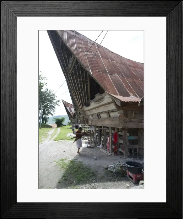 Framed Print : Batak woman carrying skeins of yarn to the looms under her traditional Batak house, Buhit, Samosir Island, Lake Toba, Sumatra, Indonesia, Southeast Asia, Asia Framed Print : Batak woman carrying skeins of yarn to the looms under her traditional Batak house, Buhit, Samosir Island, Lake Toba, Sumatra, Indonesia, Southeast Asia, Asia