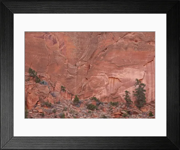 Framed Print : Salmon-colored sandstone wall with evergreens, Grand Staircase-Escalante National Monument, Utah, United States of America, North America Framed Print : Salmon-colored sandstone wall with evergreens, Grand Staircase-Escalante National Monument, Utah, United States of America, North America