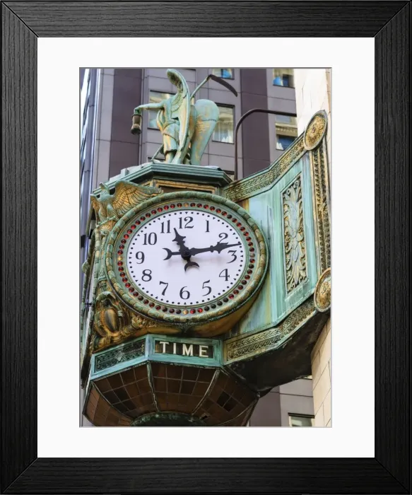 Framed Print : Art nouveau ornamentation on Carson Pirie Scott Building, Chicago, Illinois, United States of America, North America Framed Print : Art nouveau ornamentation on Carson Pirie Scott Building, Chicago, Illinois, United States of America, North America