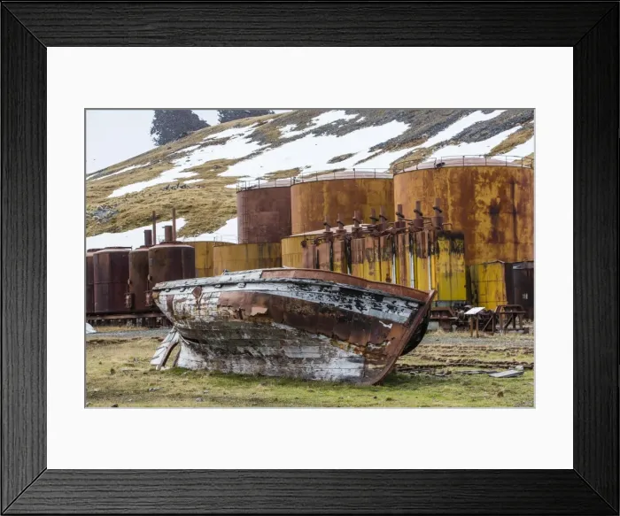 Framed Print : The abandoned Grytviken Whaling Station, South Georgia, South Atlantic Ocean, Polar Regions Framed Print : The abandoned Grytviken Whaling Station, South Georgia, South Atlantic Ocean, Polar Regions