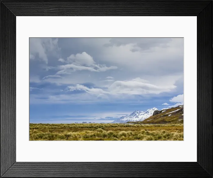 Framed Print : Peggotty Bluff, South Georgia, South Atlantic Ocean, Polar Regions Framed Print : Peggotty Bluff, South Georgia, South Atlantic Ocean, Polar Regions
