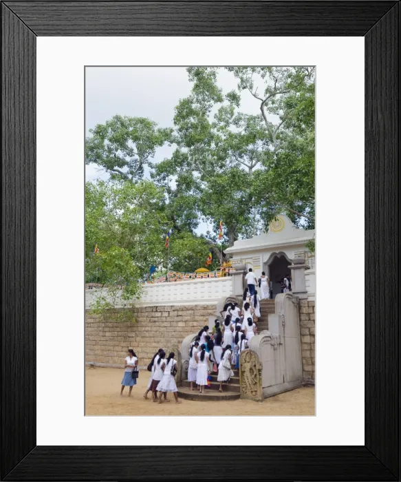 Framed Print : Buddhist pilgrims, Sri Maha Bodhi, sacred bodhi tree planted in 249 BC, UNESCO World Heritage Site, Anuradhapura, North Central Province, Sri Lanka, Asia Framed Print : Buddhist pilgrims, Sri Maha Bodhi, sacred bodhi tree planted in 249 BC, UNESCO World Heritage Site, Anuradhapura, North Central Province, Sri Lanka, Asia