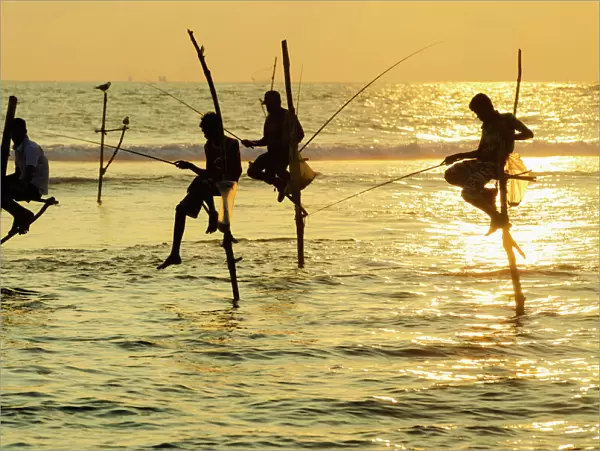 Stilt fishermen, Dalawella, Sri Lanka, Indian Ocean, Asia