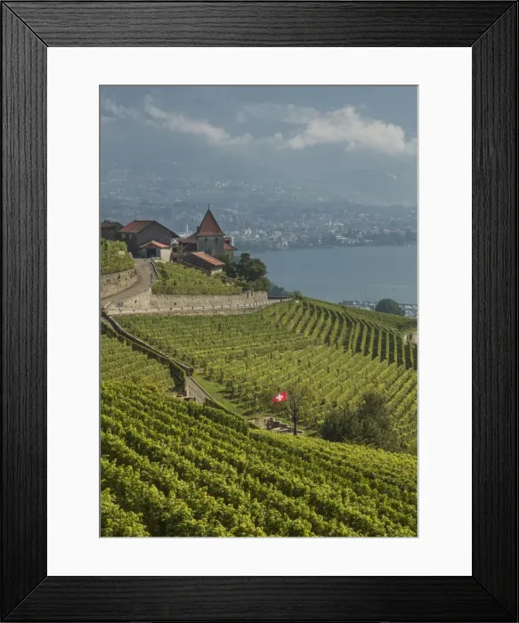 Framed Print : Lavaux terraced vineyards on Lake Geneva, Montreux, Canton Vaud, Switzerland, Europe Framed Print : Lavaux terraced vineyards on Lake Geneva, Montreux, Canton Vaud, Switzerland, Europe