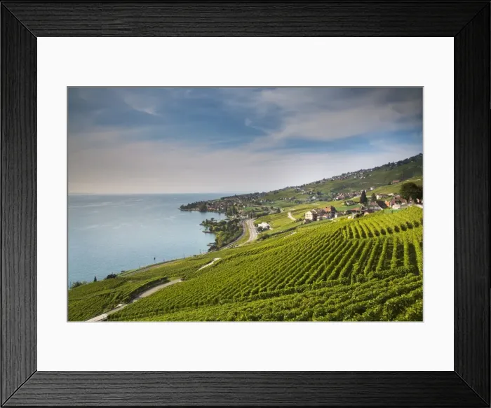 Framed Print : Lavaux terraced vineyards on Lake Geneva, Montreux, Canton Vaud, Switzerland, Europe Framed Print : Lavaux terraced vineyards on Lake Geneva, Montreux, Canton Vaud, Switzerland, Europe