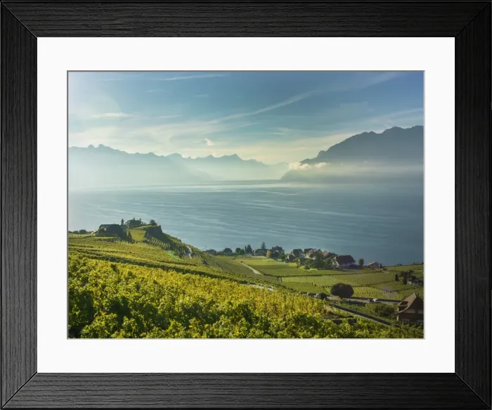 Framed Print : Lavaux terraced vineyards on Lake Geneva, Montreux, Canton Vaud, Switzerland, Europe