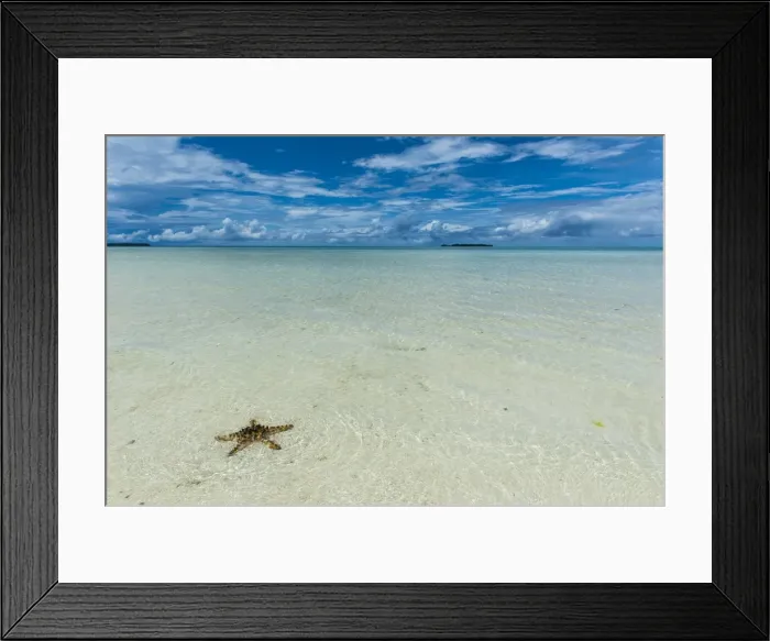 Framed Print : Sea star in the sand on the Rock islands, Palau, Central Pacific, Pacific Framed Print : Sea star in the sand on the Rock islands, Palau, Central Pacific, Pacific