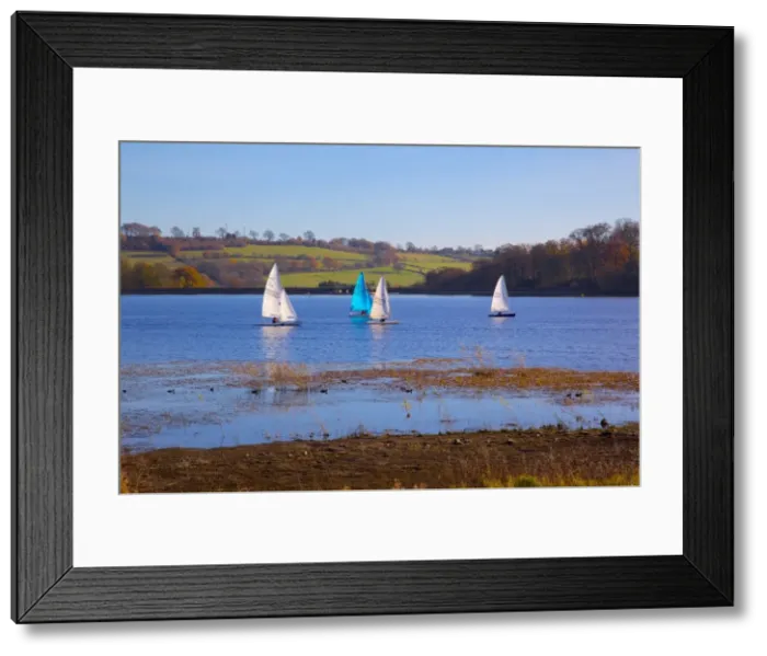 Framed Print : Sailing on Ogston Reservoir, Derbyshire Dales, Derbyshire, England, United Kingdom, Europe Framed Print : Sailing on Ogston Reservoir, Derbyshire Dales, Derbyshire, England, United Kingdom, Europe