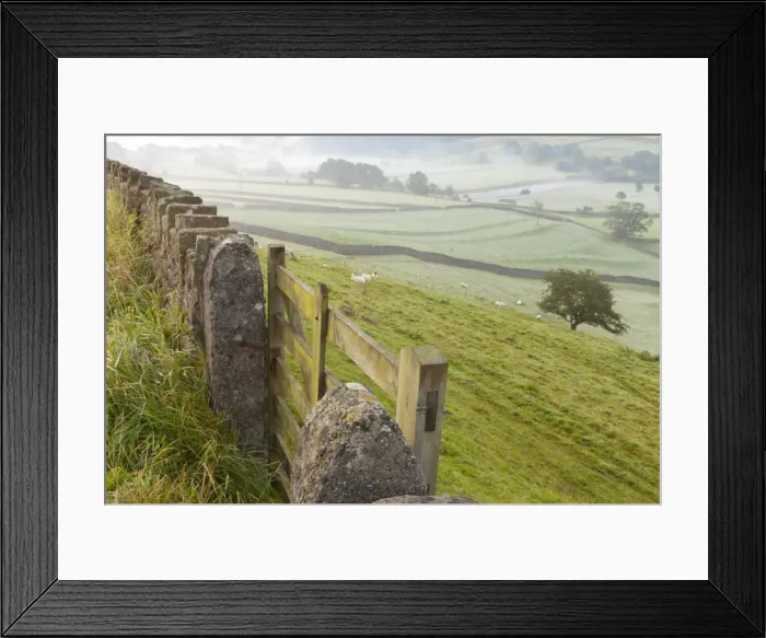 Framed Print : Gate in stone wall and field, near Burnsall, Yorkshire Dales National Park, Yorkshire, England, United Kingdom, Europe Framed Print : Gate in stone wall and field, near Burnsall, Yorkshire Dales National Park, Yorkshire, England, United Kingdom, Europe