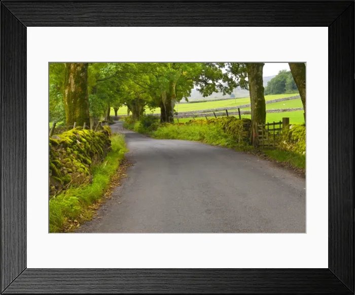 Framed Print : Country road, Yorkshire Dales National Park, Yorkshire, England, United Kingdom, Europe Framed Print : Country road, Yorkshire Dales National Park, Yorkshire, England, United Kingdom, Europe