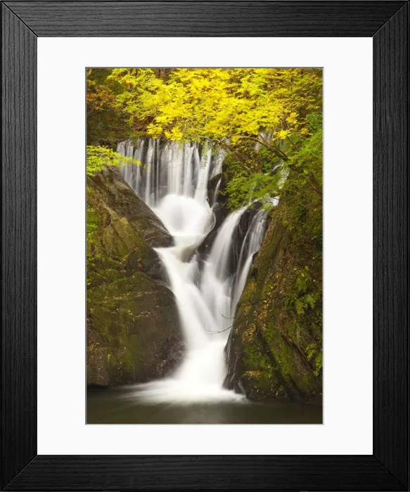 Framed Print : Furnace Falls, Furnace, Dyfed, Wales, United Kingdom, Europe Framed Print : Furnace Falls, Furnace, Dyfed, Wales, United Kingdom, Europe