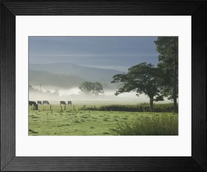 Framed Print : Typical rural view west of the Pennine, with Cross Fell, Eden Valley, Cumbria, England, United Kingdom, Europe Framed Print : Typical rural view west of the Pennine, with Cross Fell, Eden Valley, Cumbria, England, United Kingdom, Europe