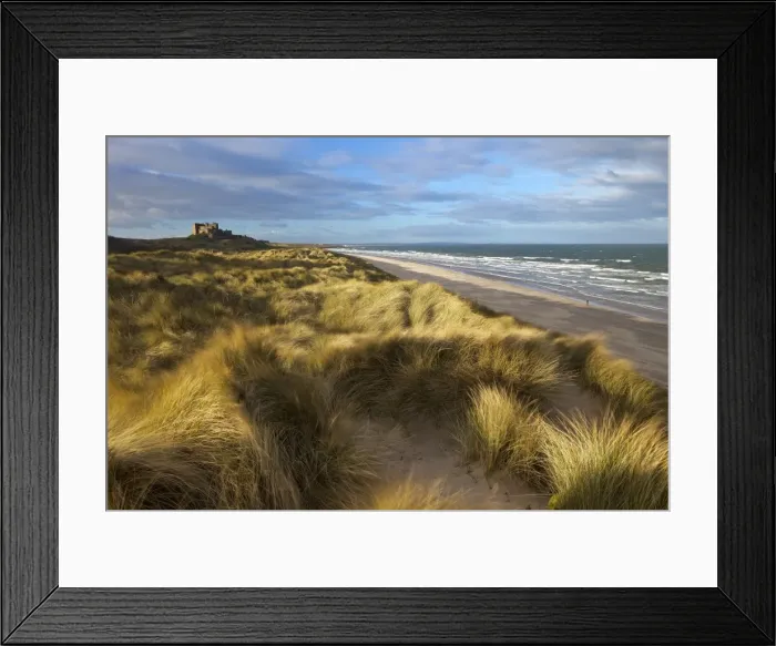 Framed Print : Marram grass, beach and surf with Bamburgh Castle in distance, Bamburgh, Northumberland, England, United Kingdom, Europe Framed Print : Marram grass, beach and surf with Bamburgh Castle in distance, Bamburgh, Northumberland, England, United Kingdom, Europe