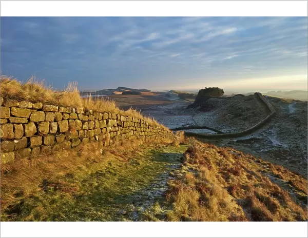 Sunrise and Hadrians Wall National Trail in winter, looking to Housesteads Fort, Hadrians Wall, UNESCO World Heritage Site, Northumberland, England, United Kingdom, Europe