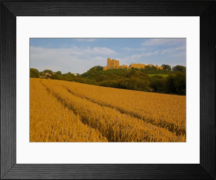 Framed Print : Bolsover Castle and corn field at sunset, Bolsover, Derbyshire, England, United Kingdom, Europe Framed Print : Bolsover Castle and corn field at sunset, Bolsover, Derbyshire, England, United Kingdom, Europe
