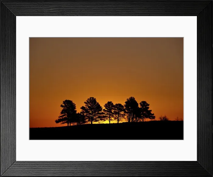 Framed Print : Orange sky at dawn, Custer State Park, South Dakota, United States of America, North America Framed Print : Orange sky at dawn, Custer State Park, South Dakota, United States of America, North America