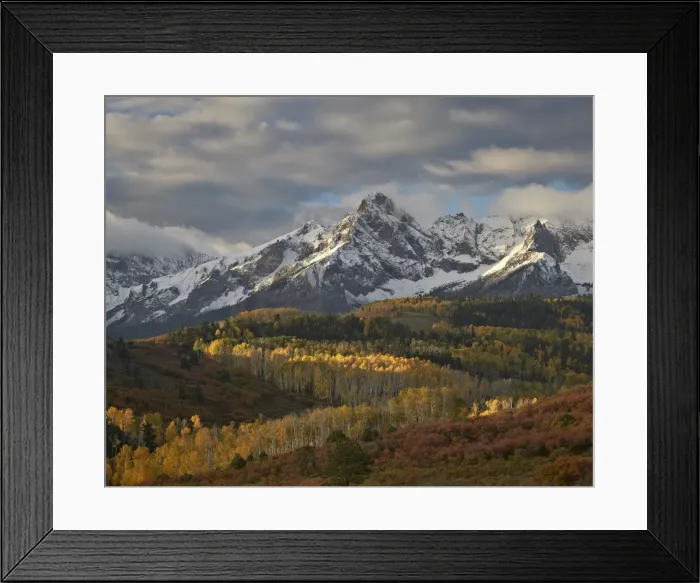 Framed Print : Mears Peak with snow and yellow aspens in the fall, Uncompahgre National Forest, Colorado, United States of America, North America Framed Print : Mears Peak with snow and yellow aspens in the fall, Uncompahgre National Forest, Colorado, United States of America, North America