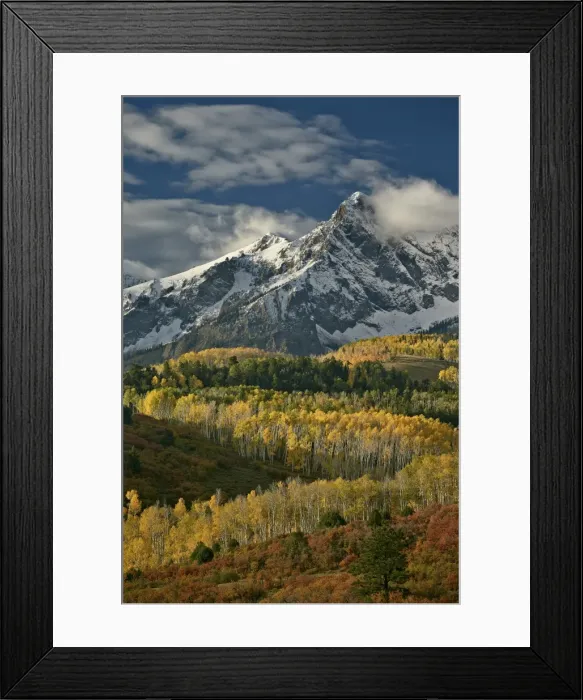 Framed Print : Mears Peak with snow and yellow aspens in the fall, Uncompahgre National Forest, Colorado, United States of America, North America Framed Print : Mears Peak with snow and yellow aspens in the fall, Uncompahgre National Forest, Colorado, United States of America, North America