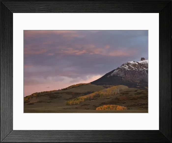 Framed Print : Patches of yellow aspens in the fall under pink clouds, Uncompahgre National Forest, Colorado, United States of America, North America Framed Print : Patches of yellow aspens in the fall under pink clouds, Uncompahgre National Forest, Colorado, United States of America, North America