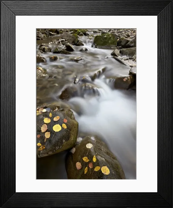 Framed Print : Cascades on the Big Bear Creek in the fall, San Miguel County, Colorado, United States of America, North America Framed Print : Cascades on the Big Bear Creek in the fall, San Miguel County, Colorado, United States of America, North America