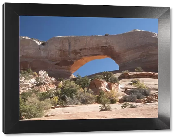 Wilson Arch, near Moab, Utah, United States of America, North America