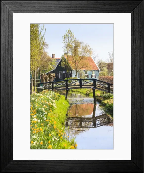 Framed Print : Preserved historic houses in Zaanse Schans, a village and working museum on the banks of the river Zaan, near Amsterdam, Zaandam, North Holland, Netherlands, Europe Framed Print : Preserved historic houses in Zaanse Schans, a village and working museum on the banks of the river Zaan, near Amsterdam, Zaandam, North Holland, Netherlands, Europe