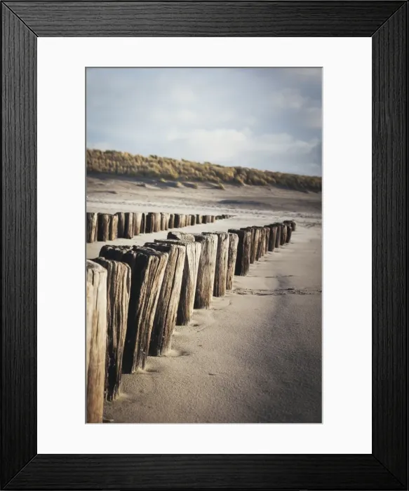 Framed Print : Wooden groynes on a sandy beach, leading to sand dunes, Domburg, Zeeland, The Netherlands, Europe Framed Print : Wooden groynes on a sandy beach, leading to sand dunes, Domburg, Zeeland, The Netherlands, Europe