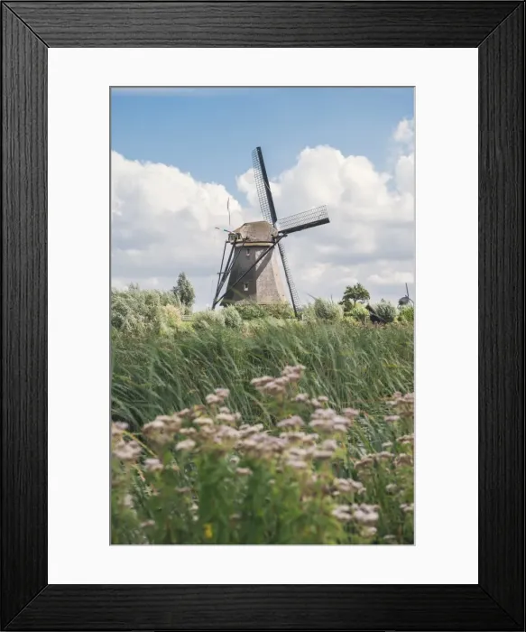 Framed Print : Canal and windmills, Kinderdijk, UNESCO World Heritage Site, South Holland, The Netherlands, Europe Framed Print : Canal and windmills, Kinderdijk, UNESCO World Heritage Site, South Holland, The Netherlands, Europe
