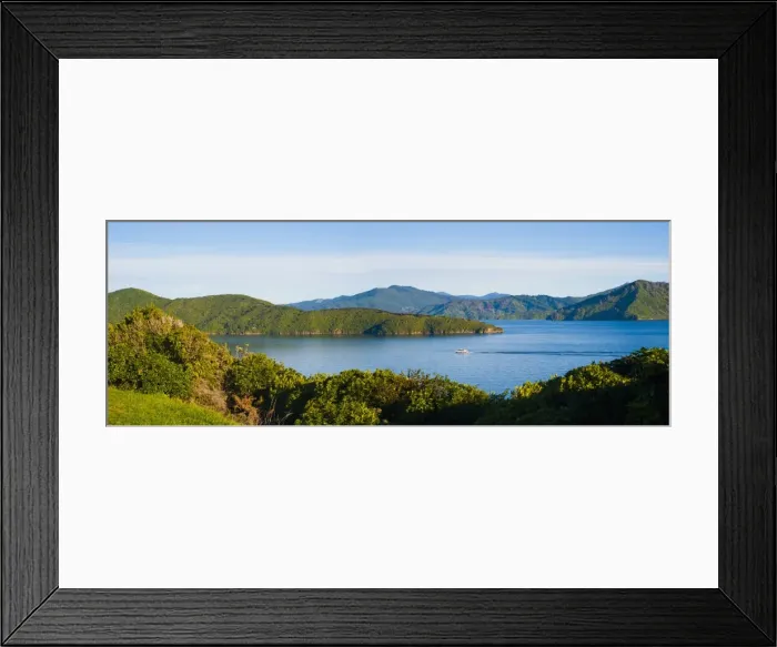 Framed Print : Speed boat in Queen Charlotte Sound, Picton, Marlborough Region, South Island, New Zealand, Pacific Framed Print : Speed boat in Queen Charlotte Sound, Picton, Marlborough Region, South Island, New Zealand, Pacific