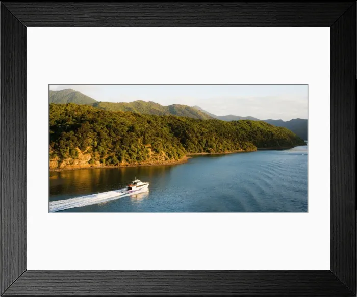 Framed Print : Speed boat in Queen Charlotte Sound, Picton, Marlborough Region, South Island, New Zealand, Pacific Framed Print : Speed boat in Queen Charlotte Sound, Picton, Marlborough Region, South Island, New Zealand, Pacific