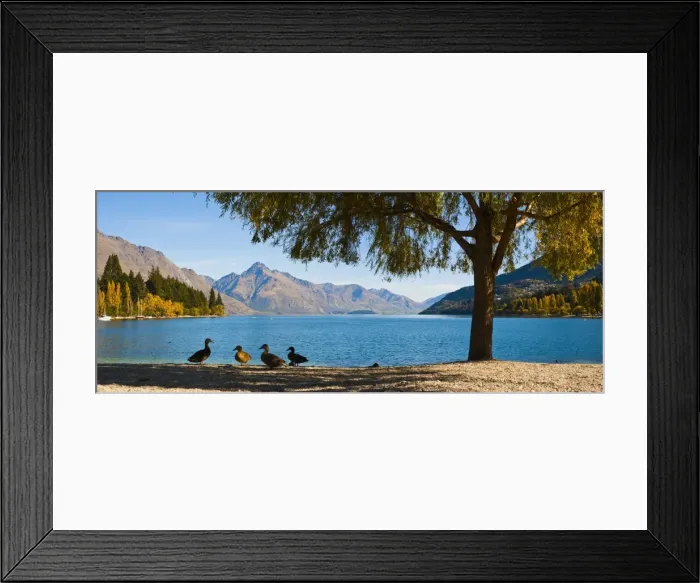 Framed Print : Autumnal Lake Wakatipu at Queenstown, Otago, South Island, New Zealand, Pacific Framed Print : Autumnal Lake Wakatipu at Queenstown, Otago, South Island, New Zealand, Pacific