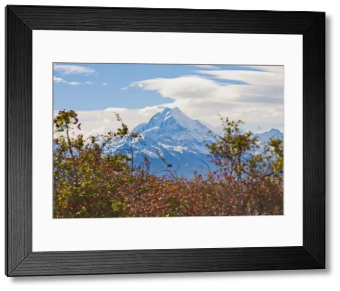 Framed Print : Mount Cook summit, at 3754 metre the highest mountain in New Zealand, Aoraki Mount Cook National Park, UNESCO World Heritage Site, South Island, New Zealand, Pacific Framed Print : Mount Cook summit, at 3754 metre the highest mountain in New Zealand, Aoraki Mount Cook National Park, UNESCO World Heritage Site, South Island, New Zealand, Pacific
