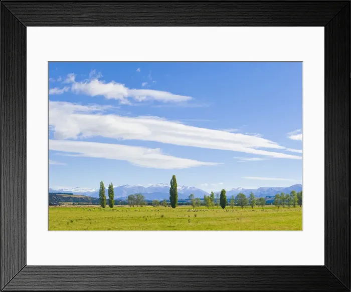 Framed Print : Countryside near Queenstown, Otago, South Island, New Zealand, Pacific Framed Print : Countryside near Queenstown, Otago, South Island, New Zealand, Pacific