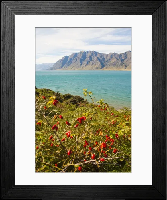 Framed Print : Lake Hawea, Southern Alps Mountain Range, West Coast, South Island, New Zealand, Pacific Framed Print : Lake Hawea, Southern Alps Mountain Range, West Coast, South Island, New Zealand, Pacific