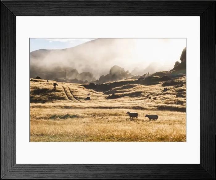 Framed Print : Canaan Downs Scenic Reserve at sunrise, Abel Tasman National Park, South Island, New Zealand, Pacific Framed Print : Canaan Downs Scenic Reserve at sunrise, Abel Tasman National Park, South Island, New Zealand, Pacific